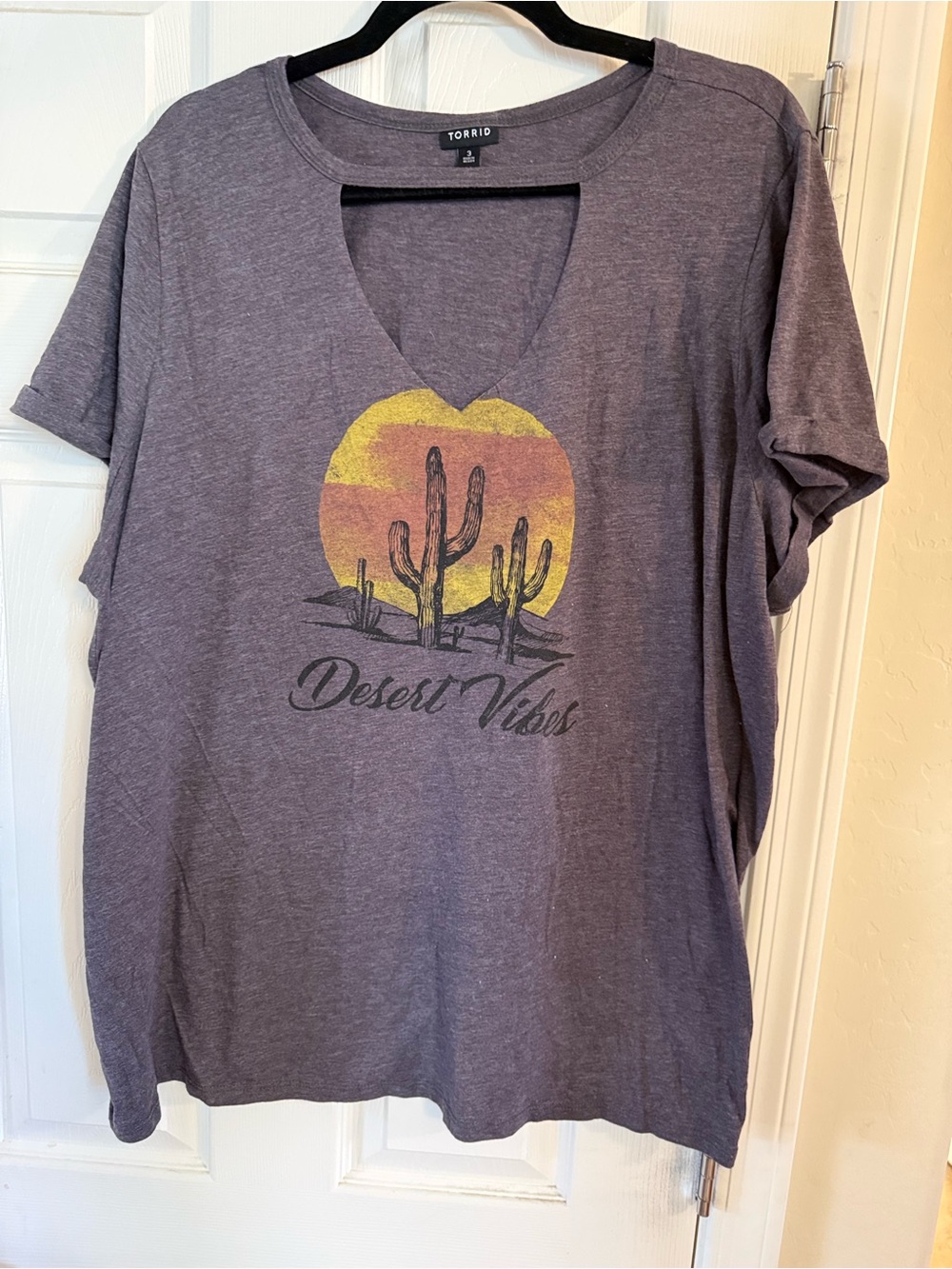torrid Purple Cactus Sunset V-Neck Graphic Tee